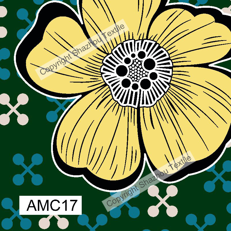 amc17