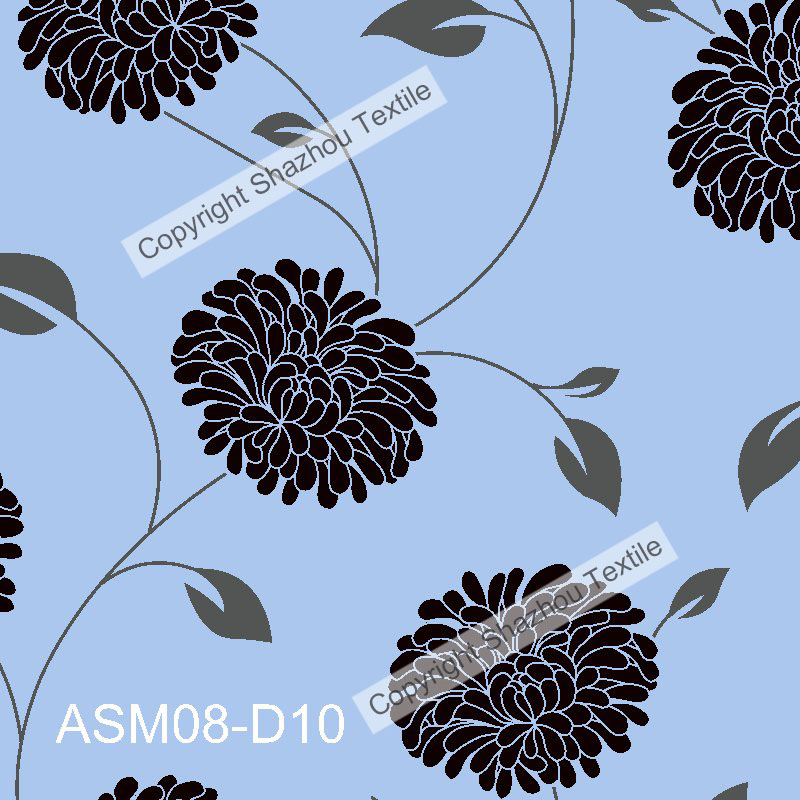 ASM08-D10