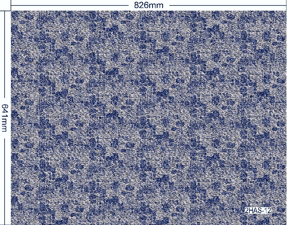 2HAS-12