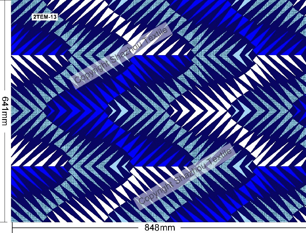2TEM-13