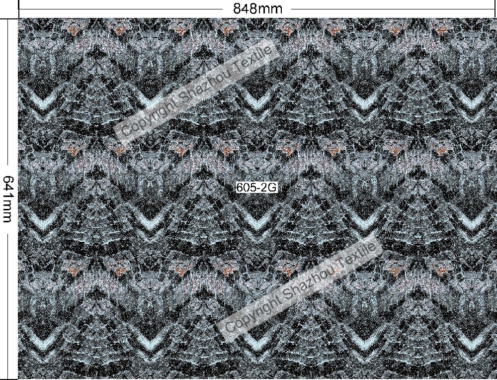605-2G