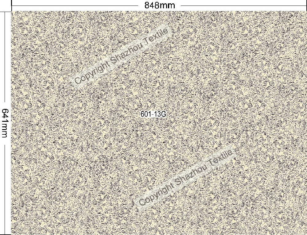 601-13G