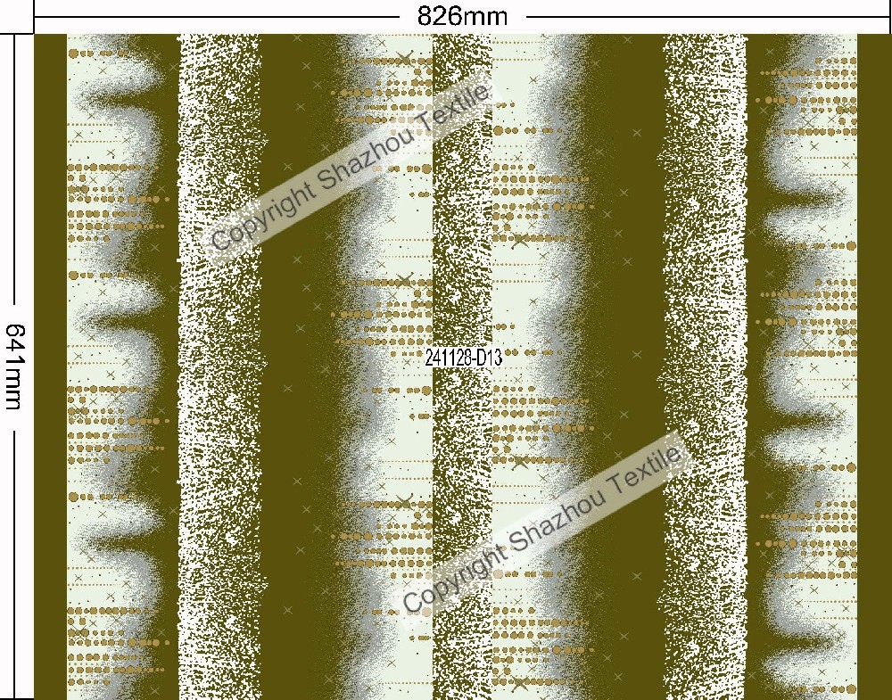 241128-D13