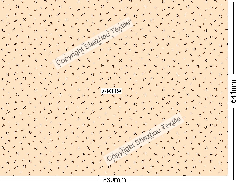 AKB9