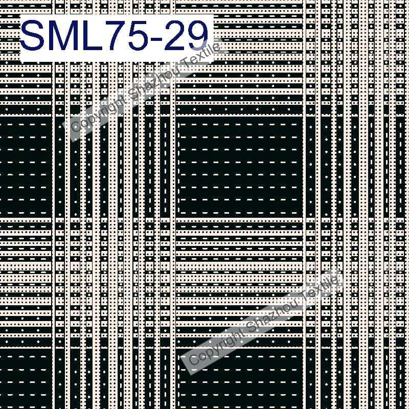 SML75-29