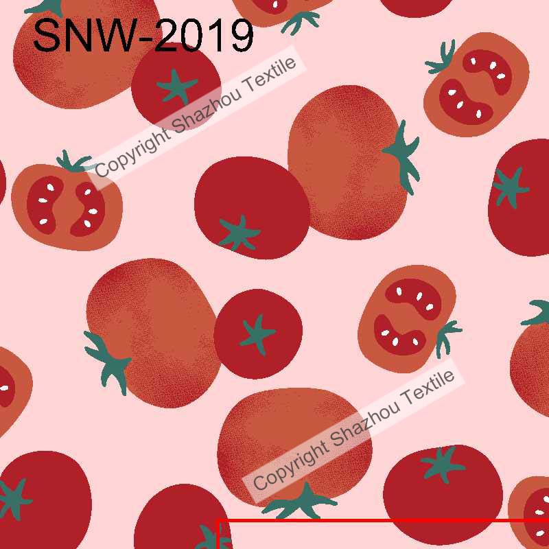 SNW-2019