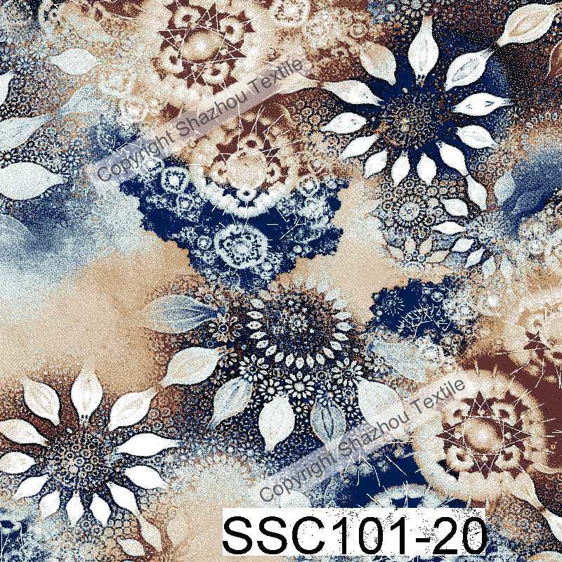 SSC101-20