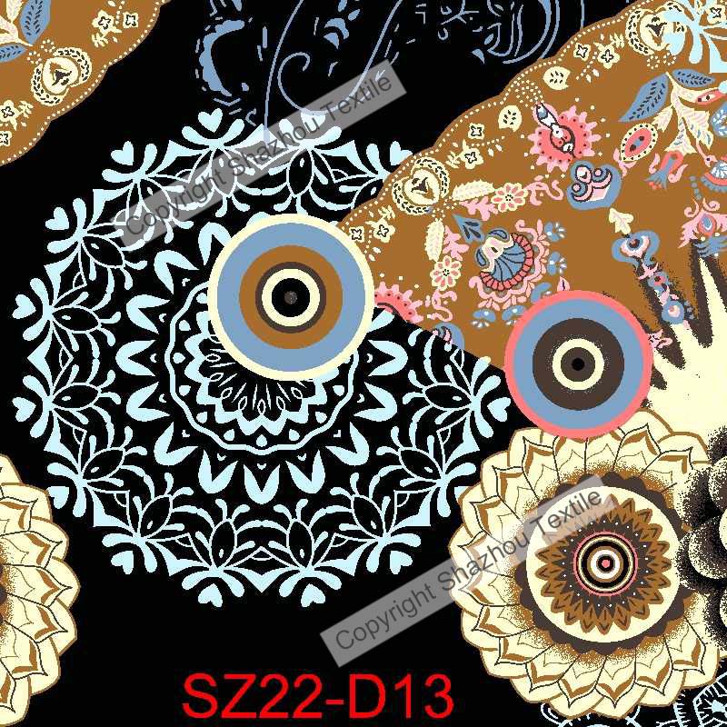 sz22-d13