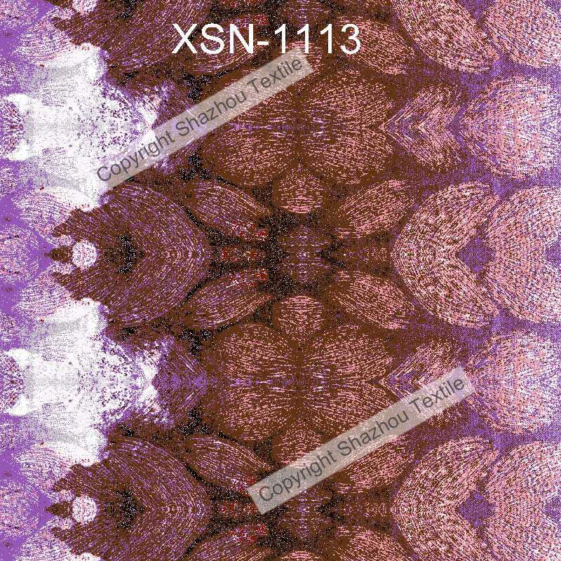 XSN-1113