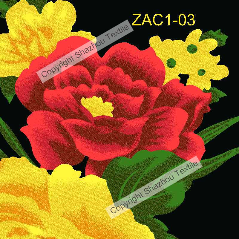 ZAC1-03