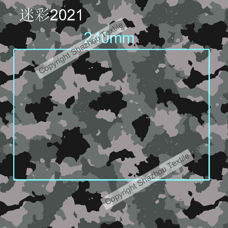 迷彩2021(camouflage 2021)