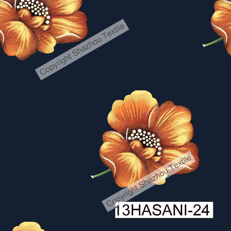 13HASANI-24