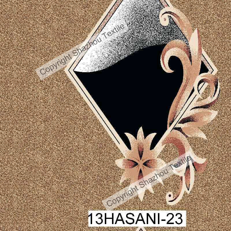 13HASANI-23