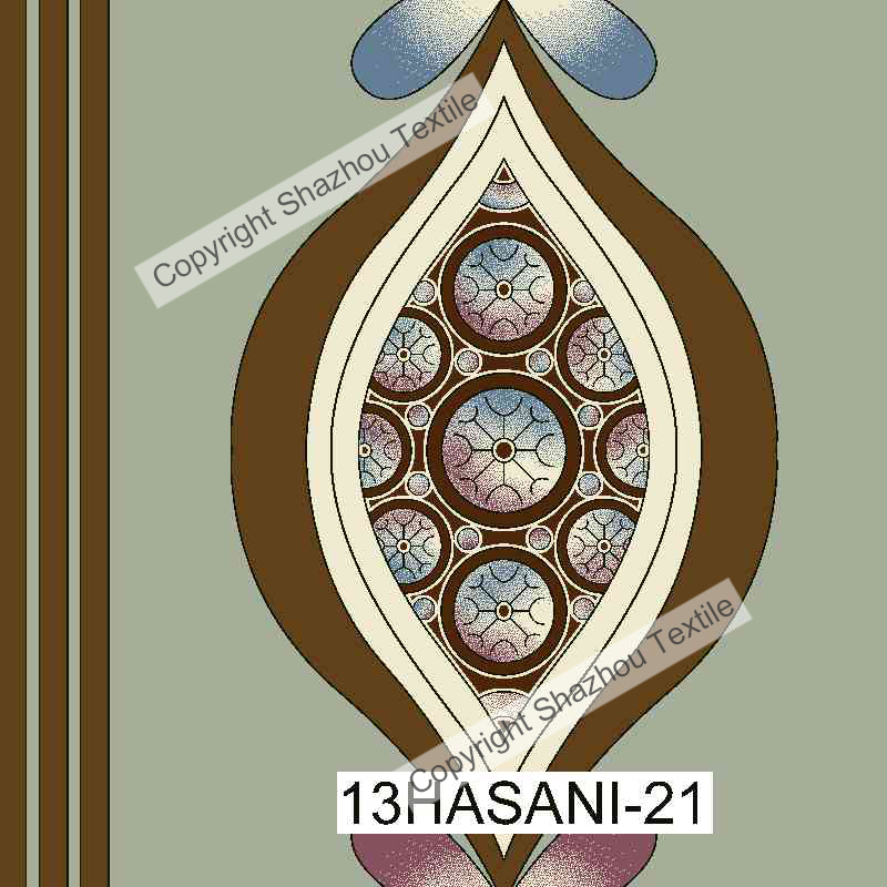 13HASANI-21