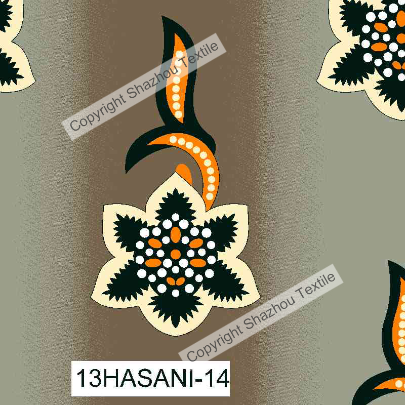 13HASANI-14