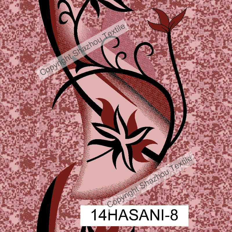 14HASANI-8