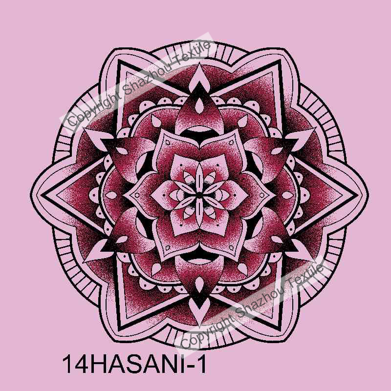 14HASANI-1