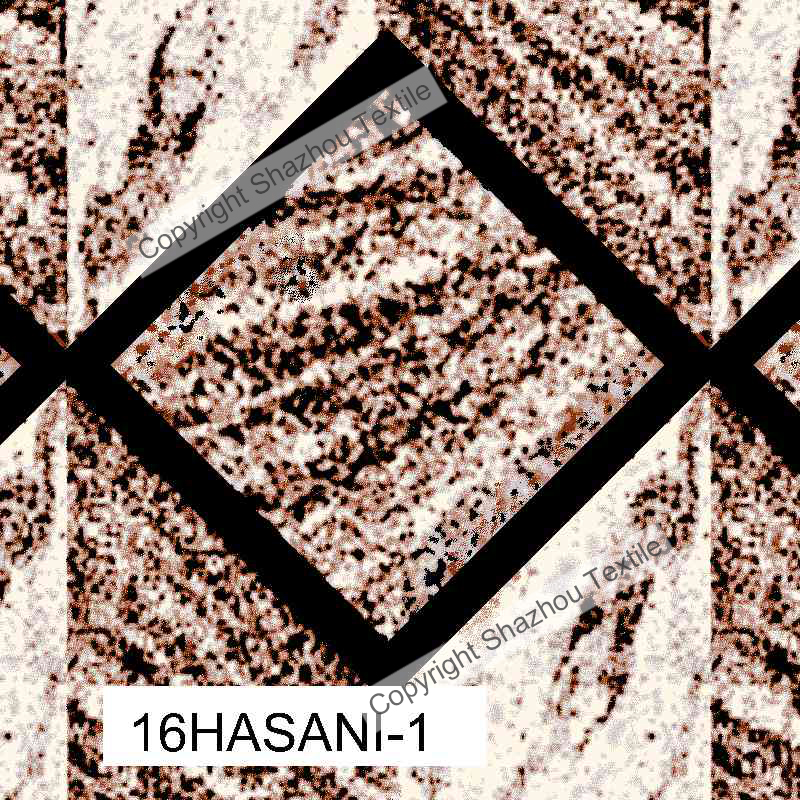 16HASANI-1