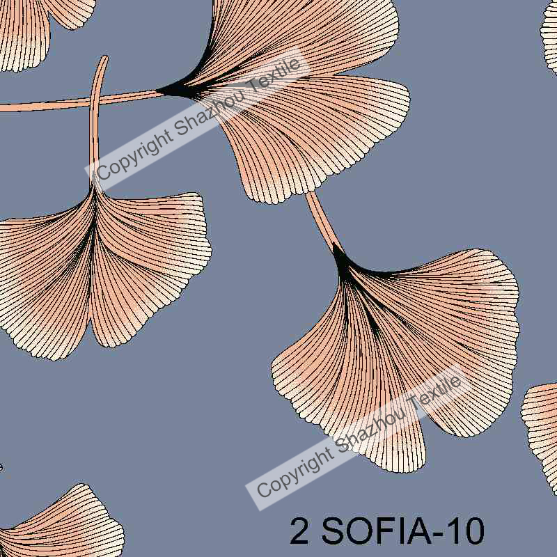 2 SOFIA-10