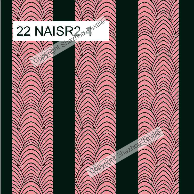 22 NAISR2-4