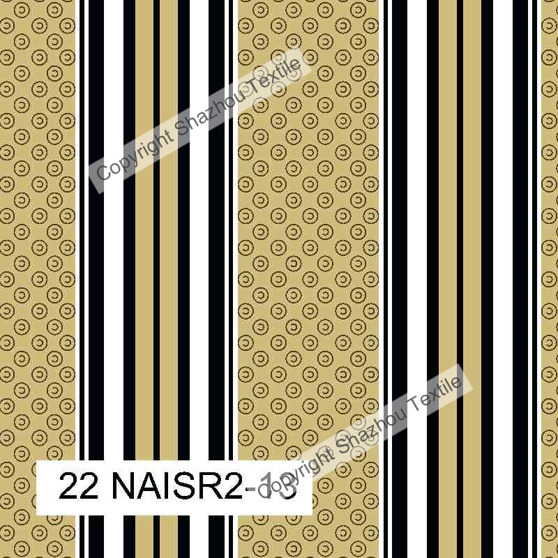22 NAISR2-13