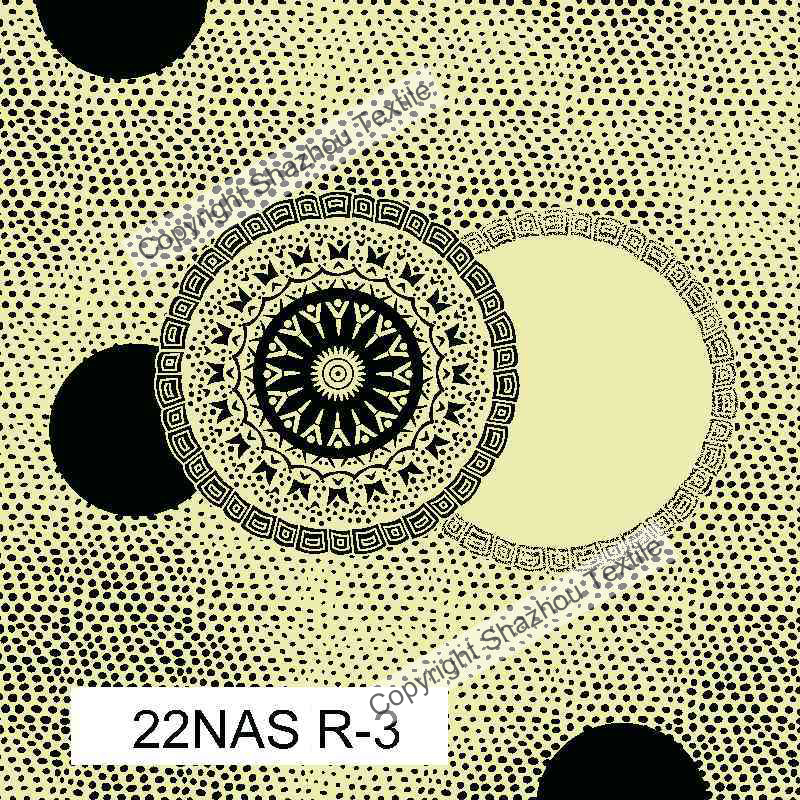 22NASR-3