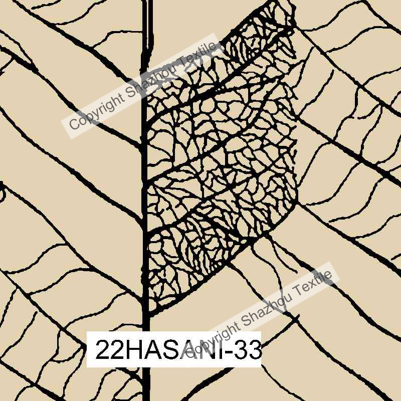 22HASANI-33
