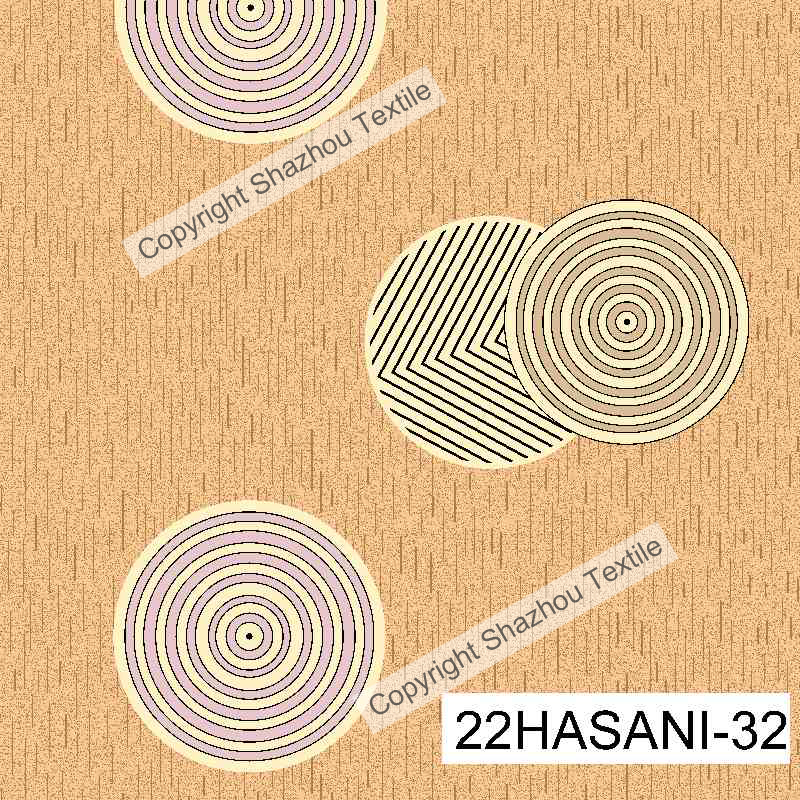 22HASANI-32