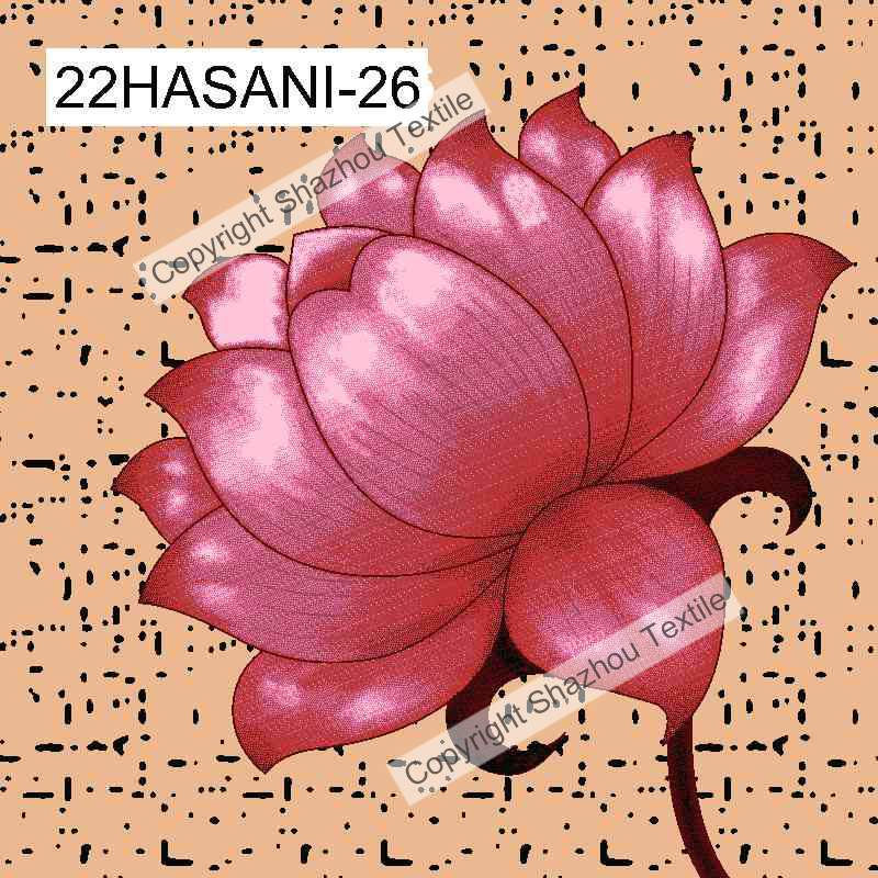 22HASANI-26
