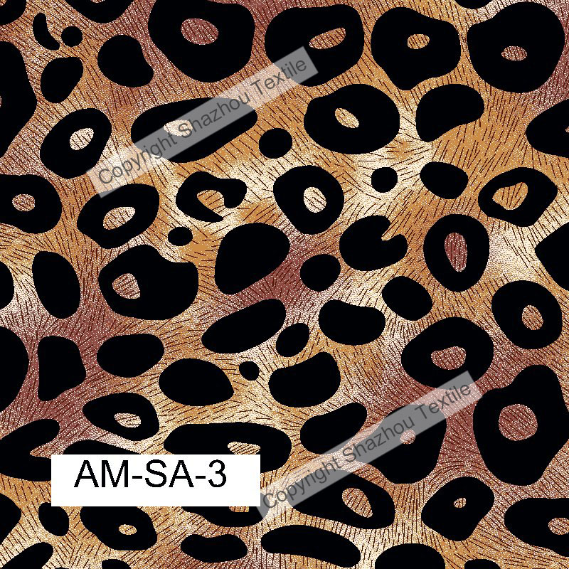 am-sa-3