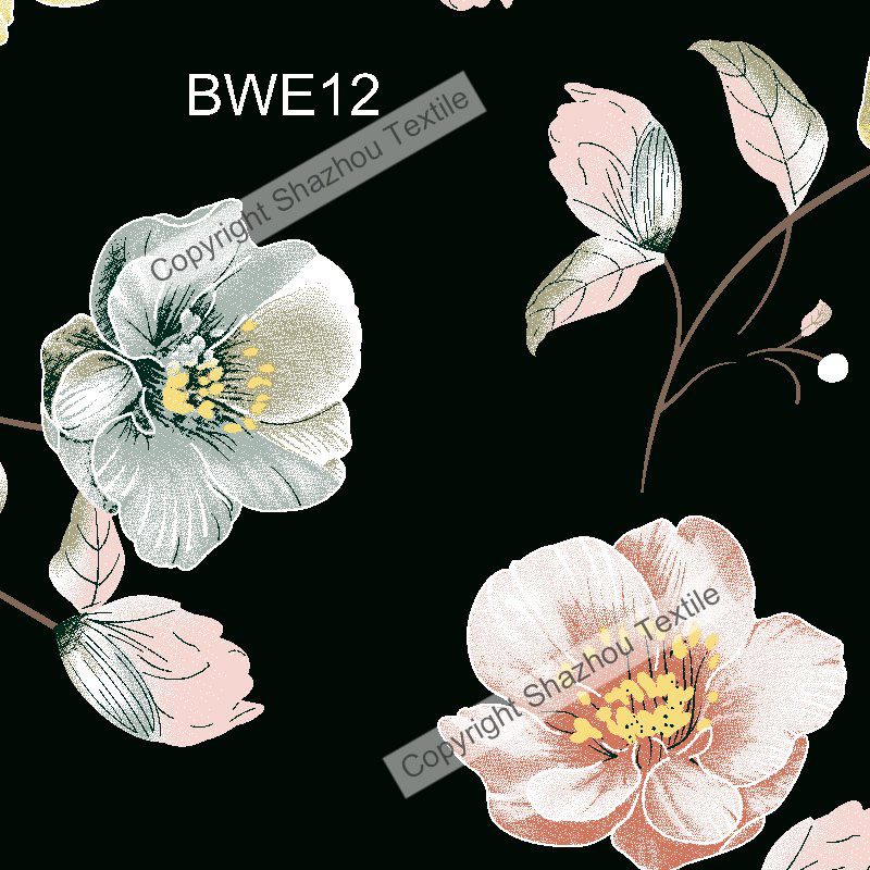 BWE12