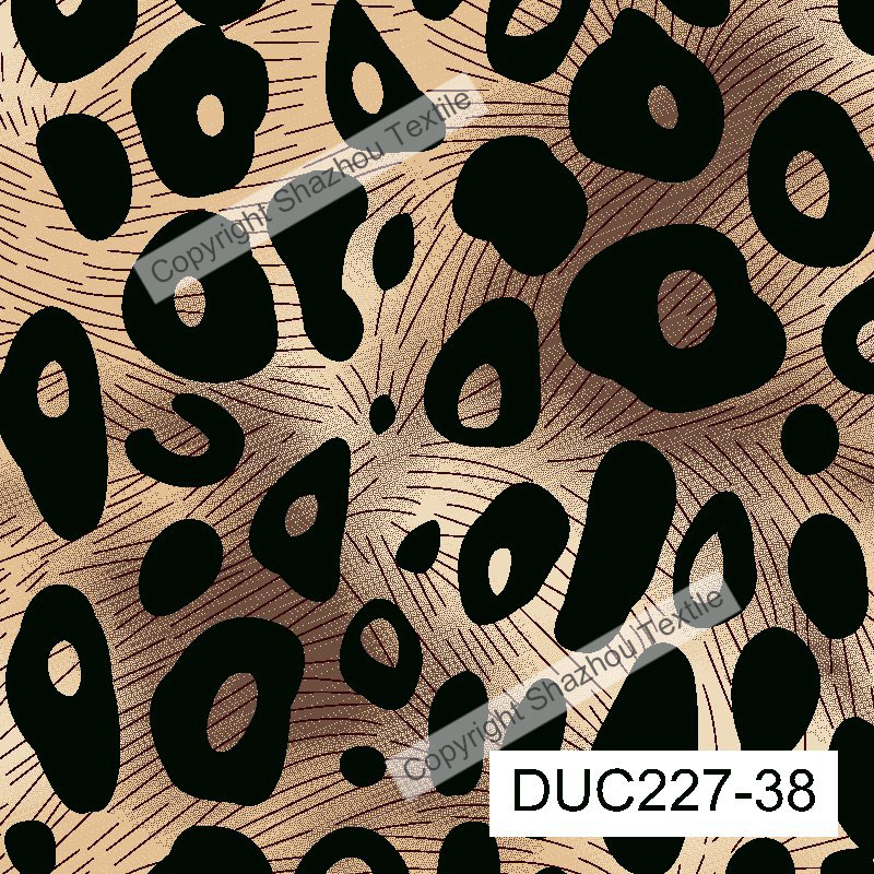 duc2207-38