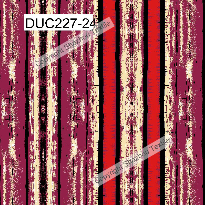 duc2207-24