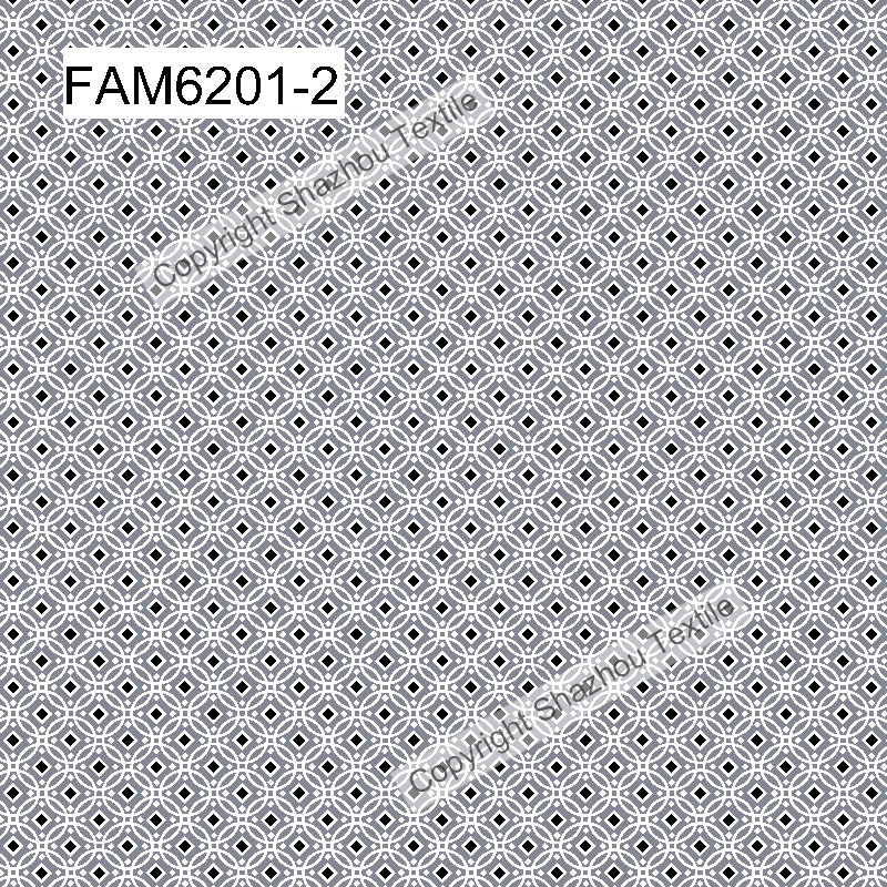 FAM6201-2