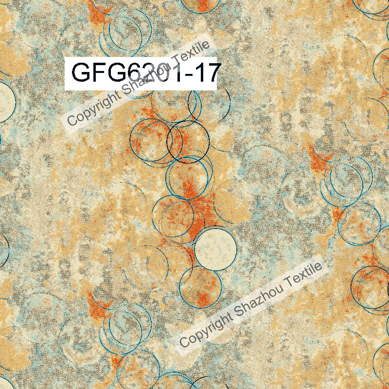 gfg6201-17