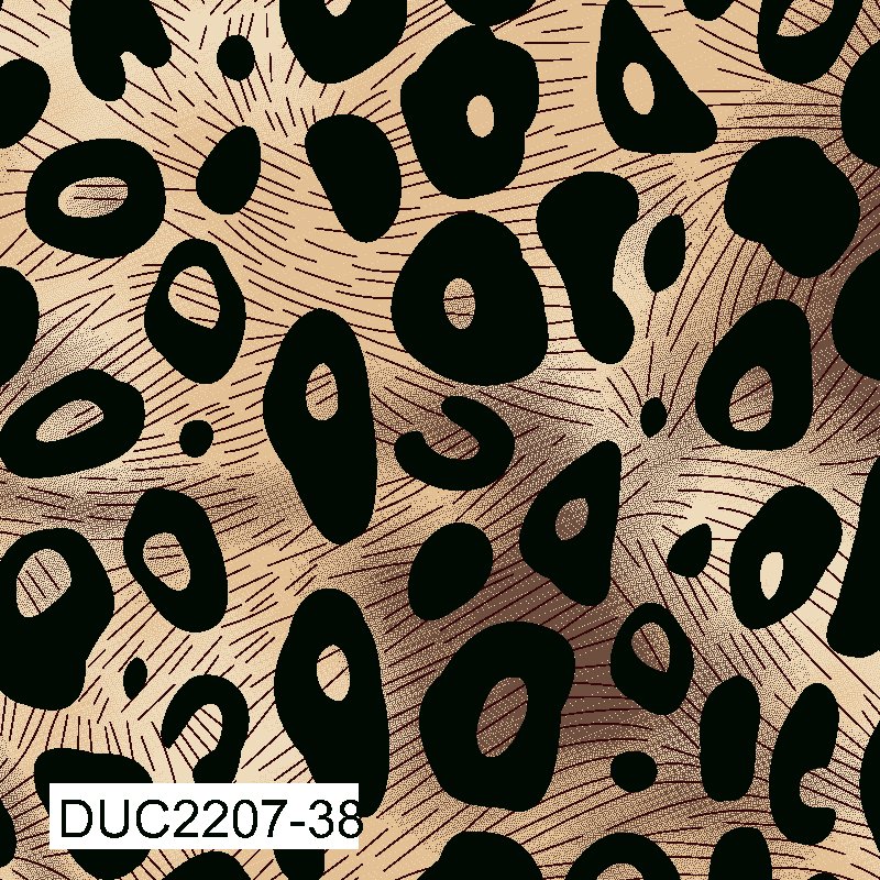 duc2207-38