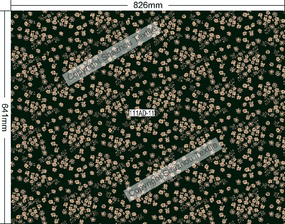 111AD-11