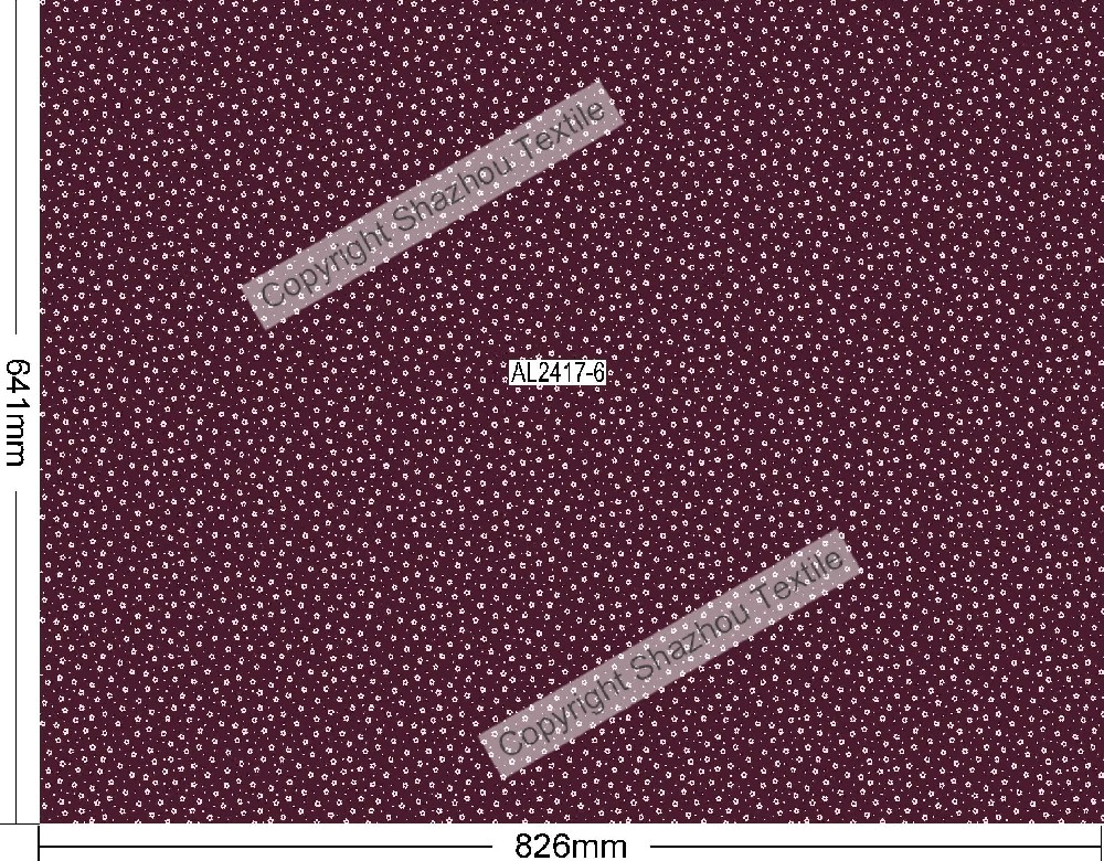 AL2417-6